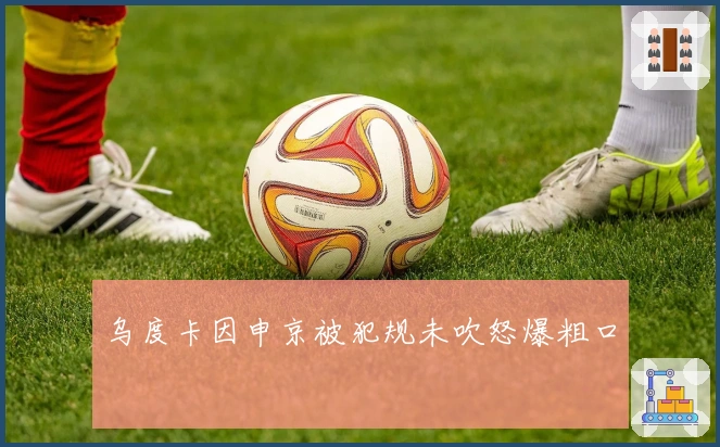 乌度卡因申京被犯规未吹怒爆粗口