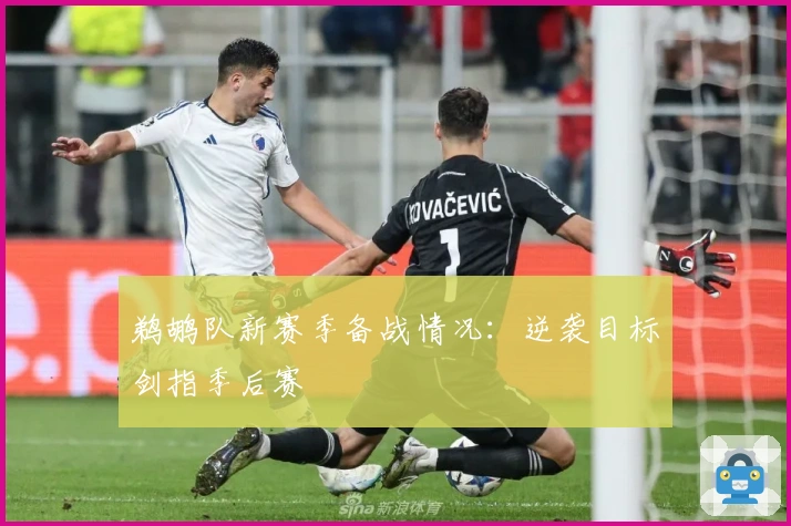 鹈鹕队新赛季备战情况：逆袭目标剑指季后赛