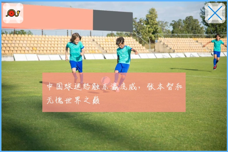 中国球迷怒触东瀛虎威，张本智和无愧世界之巅