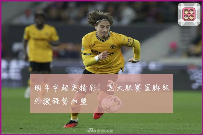 明年中超更精彩！五大联赛国脚级外援强势加盟